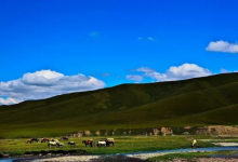 新疆自驾车房车露营产业发展大会将于7月27日在伊犁举办
